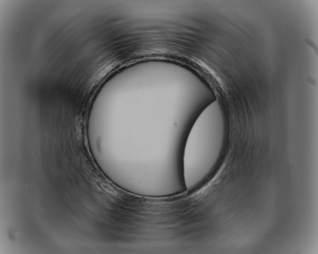 X0000091650921200708231006