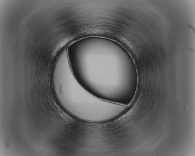X0000091650922200708231006
