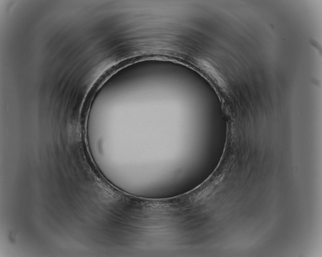 X0000091650924200708231007