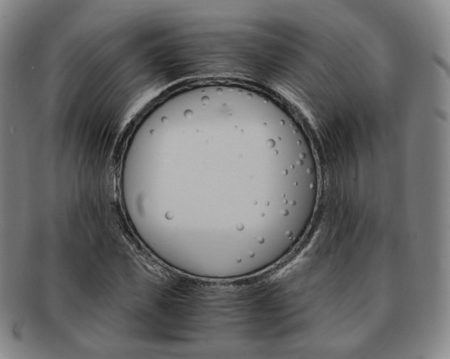 X0000091650925200708231007