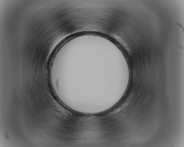 X0000091650926200708231007