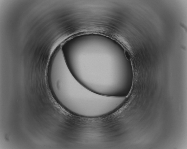 X0000091650928200708231007