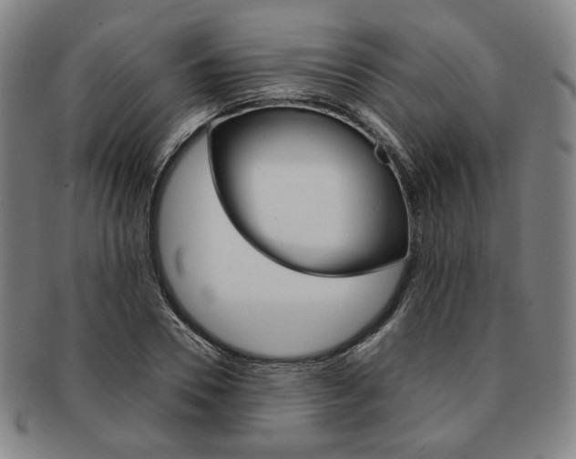 X0000091650930200708231007