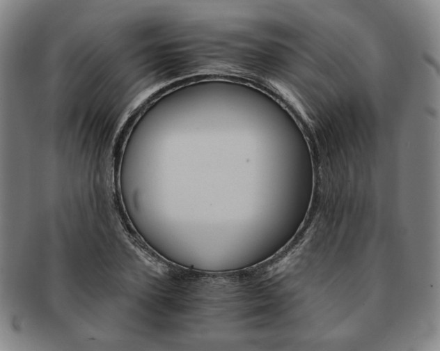 X0000091650931200708231007
