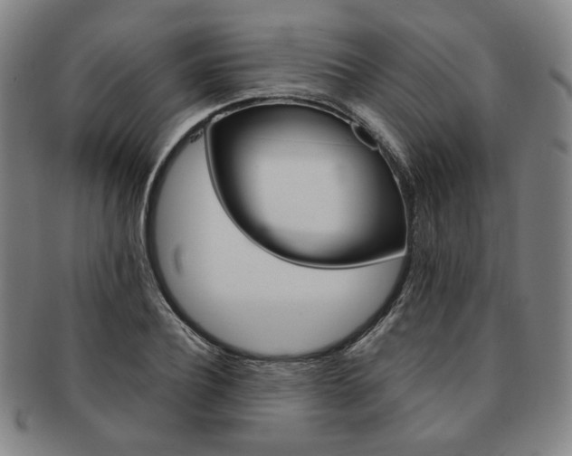 X0000091650932200708231007