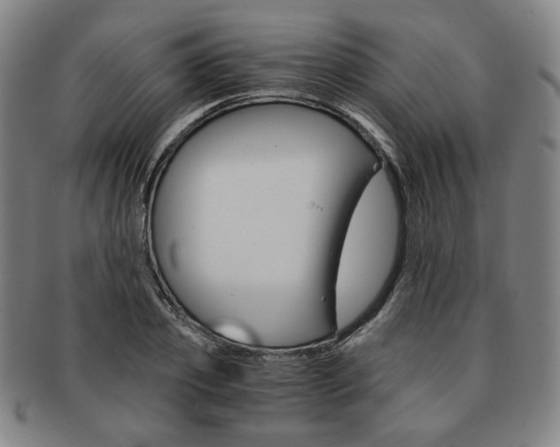 X0000091650933200708231007