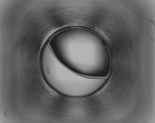 X0000091650934200708231007
