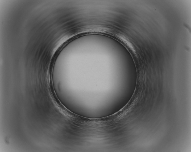 X0000091650936200708231007