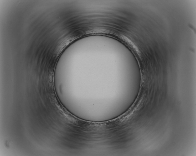 X0000091650937200708231007