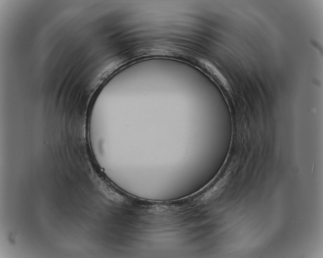 X0000091650938200708231007