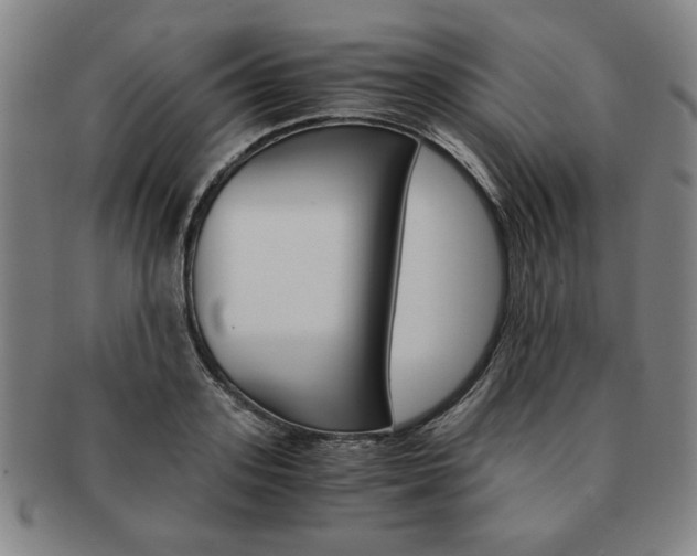 X0000091650939200708231007