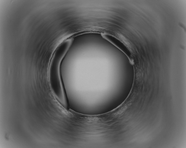 X0000091650940200708231007