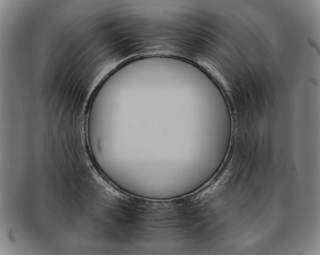 X0000091650941200708231007