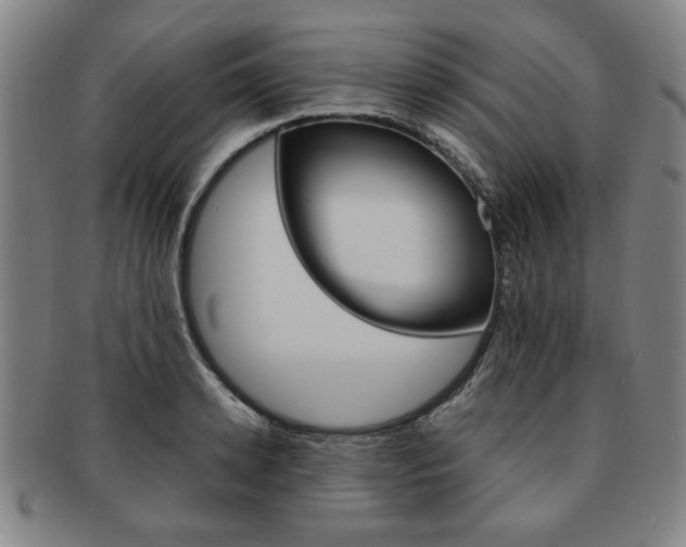 X0000091650942200708231007
