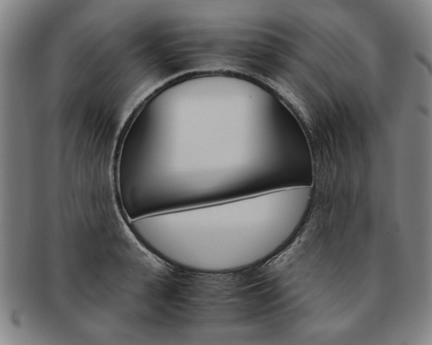 X0000091650943200708231007