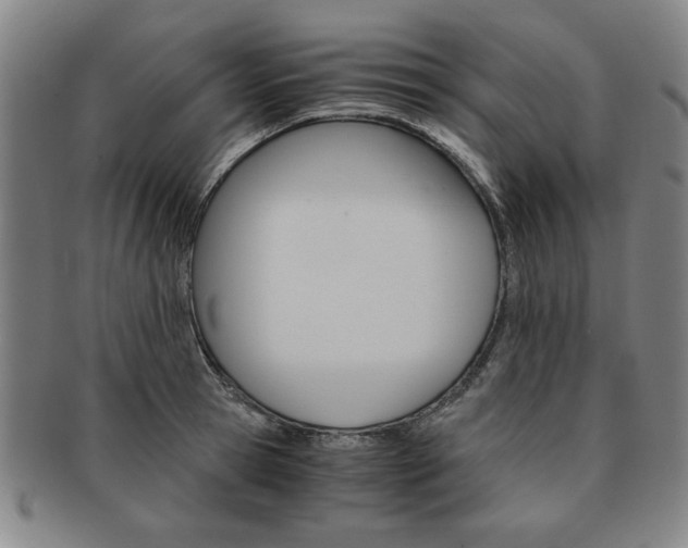 X0000091650945200708231007