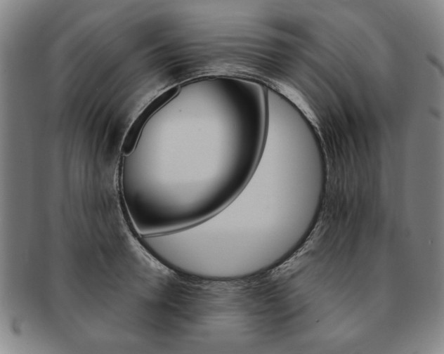 X0000091650946200708231007