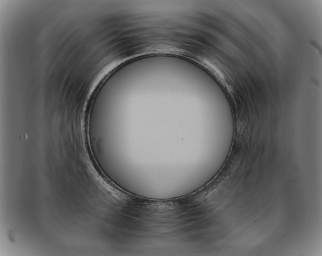 X0000091650947200708231007