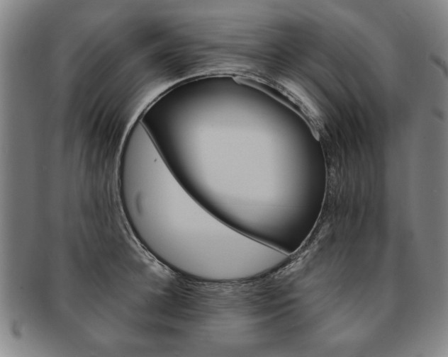 X0000091650948200708231007