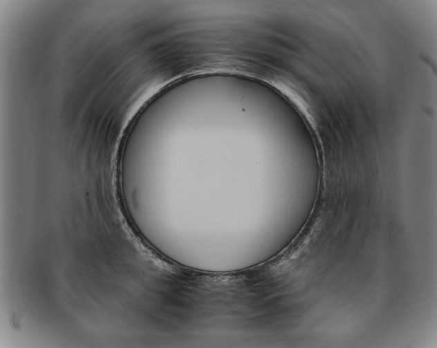 X0000091650949200708231007