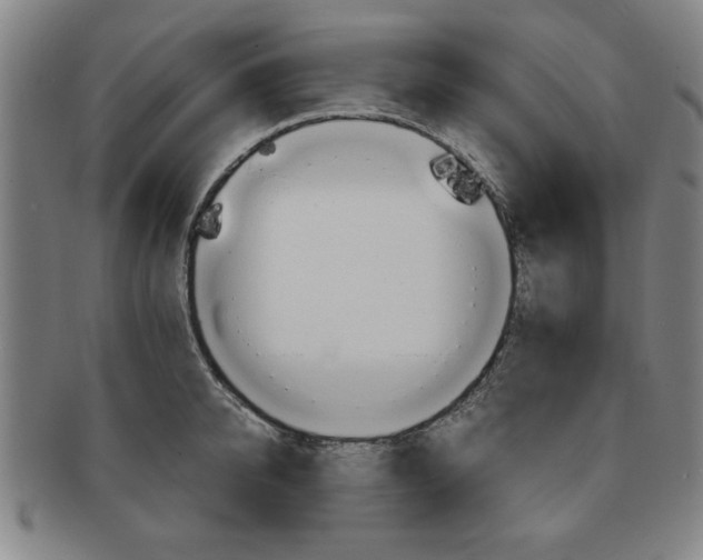 X0000091650950200708231007