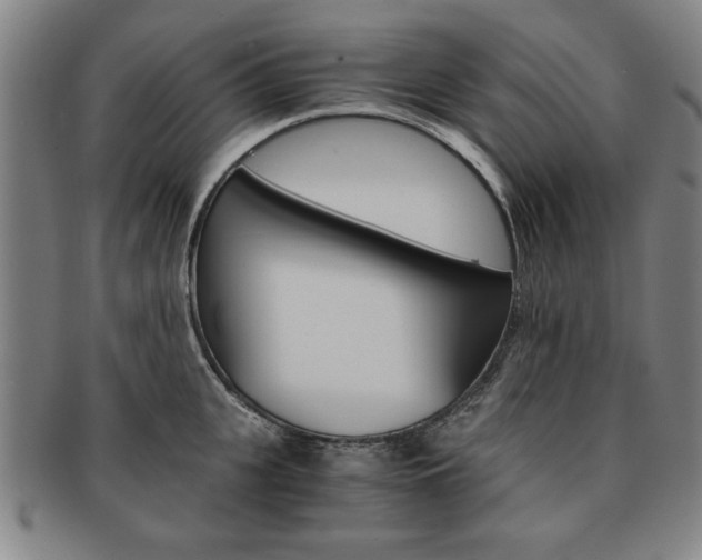 X0000091650951200708231007