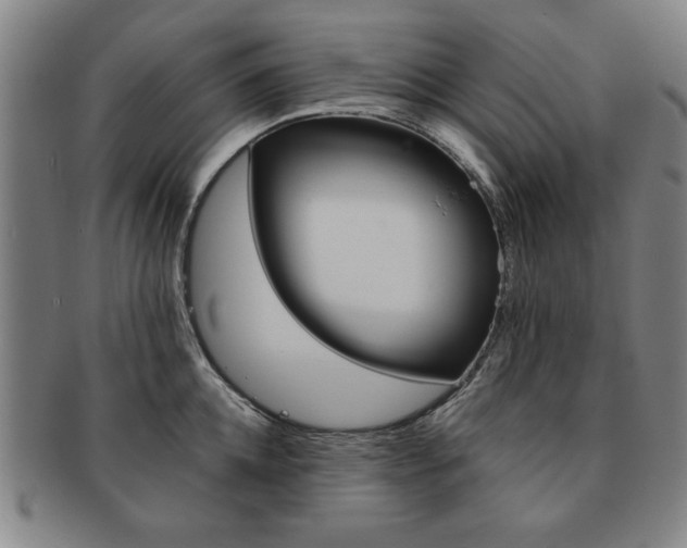 X0000091650952200708231007