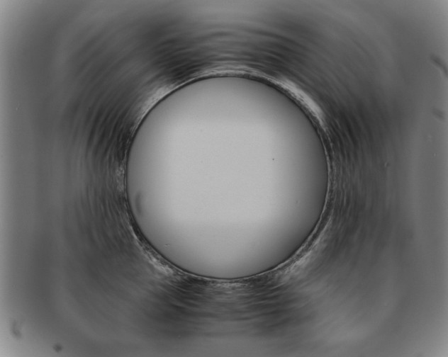 X0000091650953200708231007