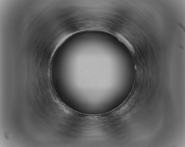 X0000091650956200708231007