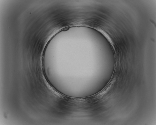 X0000091650957200708231007