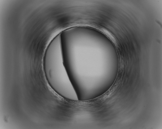 X0000091650958200708231007