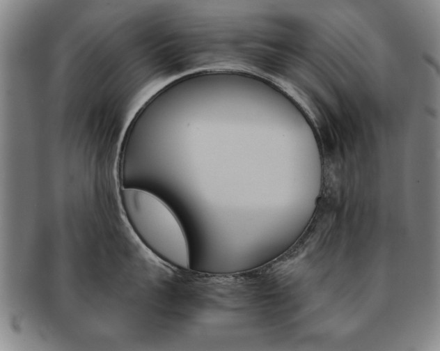 X0000091650959200708231007