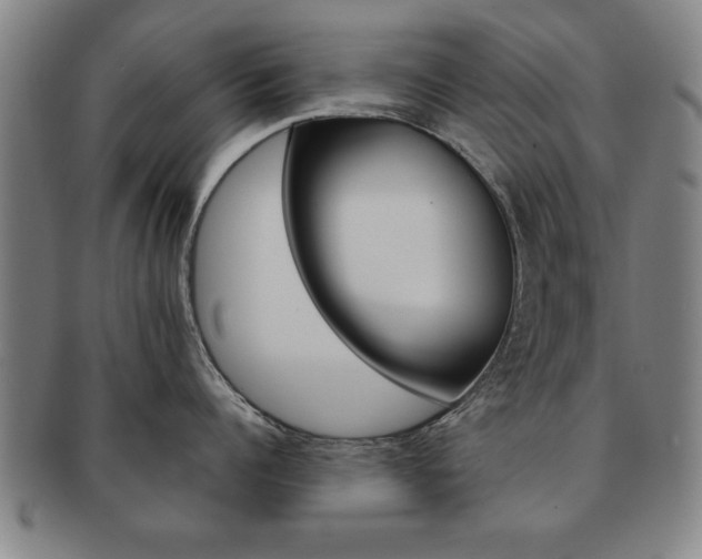 X0000091650960200708231007