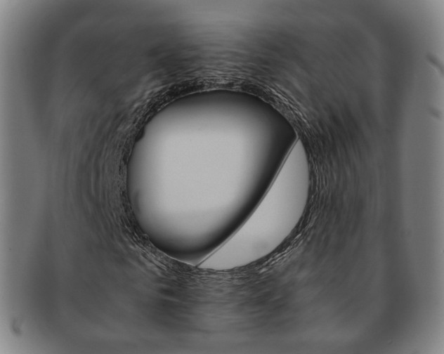 X0000091650961200708231006