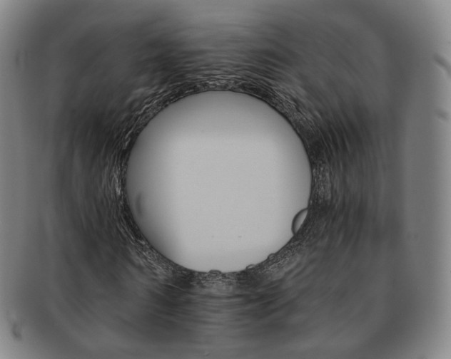 X0000091650962200708231006