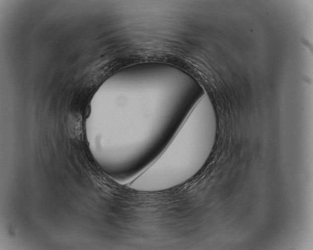 X0000091650963200708231006