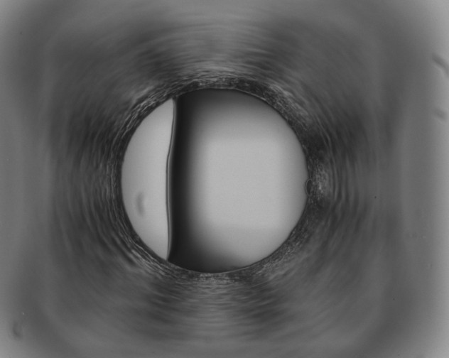 X0000091650964200708231006