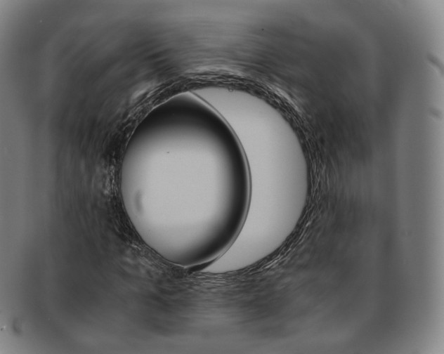 X0000091650965200708231006