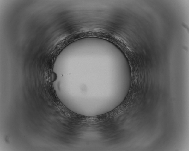 X0000091650966200708231006
