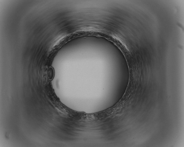 X0000091650968200708231006