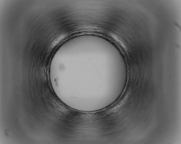 X0000091650970200708231006