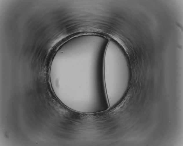 X0000091650971200708231006