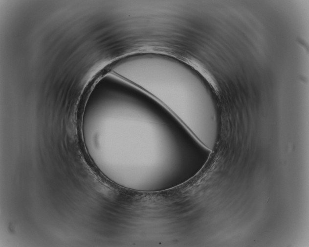 X0000091650972200708231006
