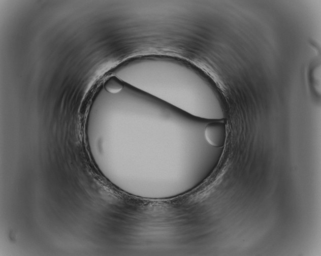 X0000091650974200708231006