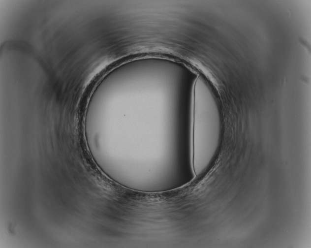 X0000091650975200708231006