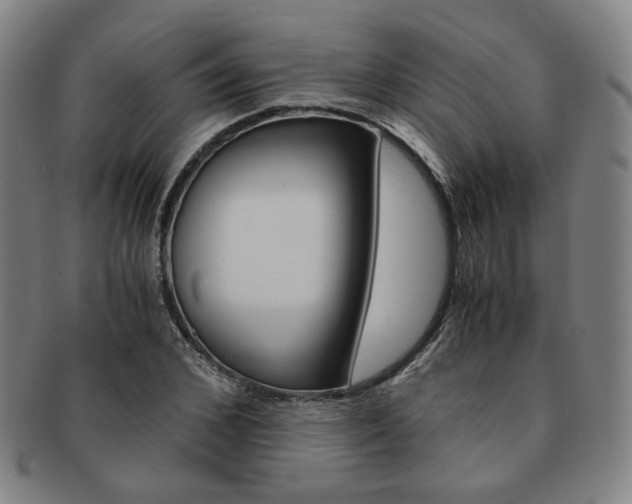 X0000091650976200708231006