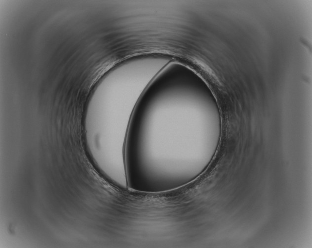 X0000091650977200708231006