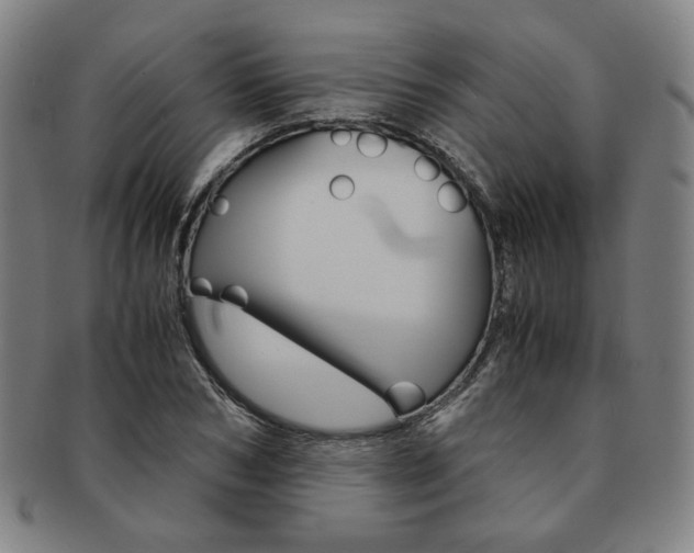 X0000091650978200708231006