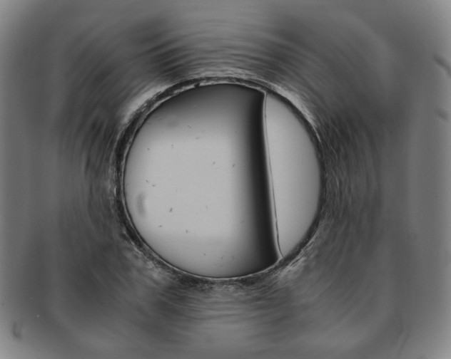 X0000091650979200708231006