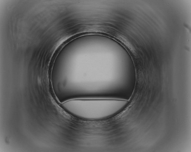X0000091650980200708231006